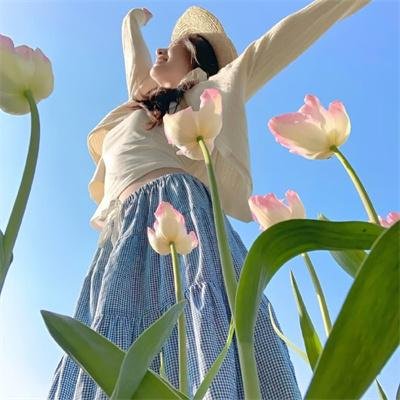 夏日友晴天